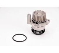 Pompa acqua meccanico D1W050TT THERMOTEC per VW AUDI SEAT SKODA