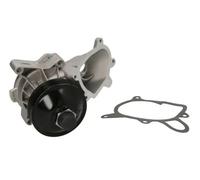 Pompa dell'acqua THERMOTEC D1X008TT