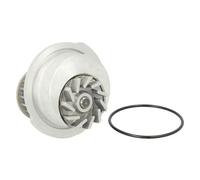 Pompa dell'acqua THERMOTEC D1X012TT