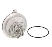 Pompa dell'acqua THERMOTEC D1X020TT