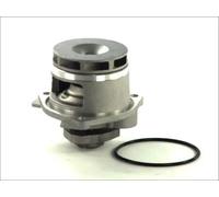 Pompa dell'acqua THERMOTEC D1X028TT
