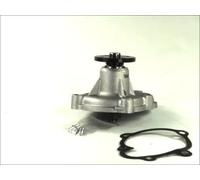 Pompa dell'acqua THERMOTEC D1X034TT