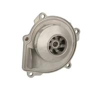 Pompa dell'acqua THERMOTEC D1Y077TT