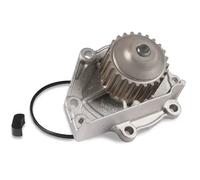 Pompa dell'acqua HEPU P045