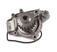 Pompa dell'acqua HEPU P046