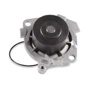 Pompa dell'acqua HEPU P1045