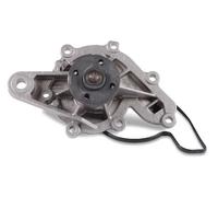 Pompa dell'acqua HEPU P130