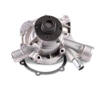 Pompa dell'acqua HEPU P138