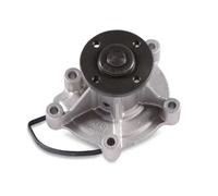 Pompa dell'acqua HEPU P141