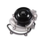 Pompa dell'acqua HEPU P1521