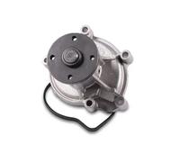 Pompa dell'acqua HEPU P1539