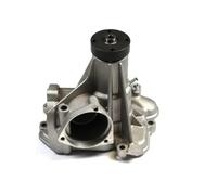 Pompa dell'acqua HEPU P181