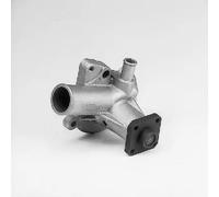 HEPU P206 Pompa acqua