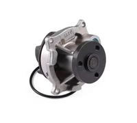 Pompa dell'acqua HEPU P236