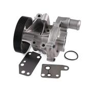 Pompa acqua meccanico P248 HEPU per FORD LAND ROVER