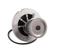 Pompa dell'acqua HEPU P324