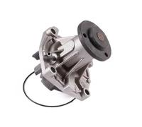 Pompa dell'acqua HEPU P345
