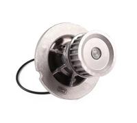 Pompa dell'acqua HEPU P367