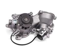 Pompa dell'acqua HEPU P414