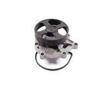 Hepu Pompa dell'acqua P428 per MINI (R56) 2011-2013