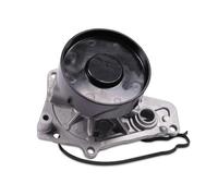 HEPU P442 Pompa acqua