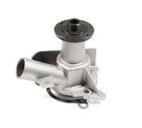 Pompa dell'acqua HEPU P458