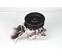 HEPU P487 Pompa acqua