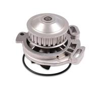 Pompa dell'acqua HEPU P526