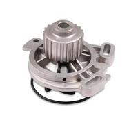 Pompa dell'acqua HEPU P527