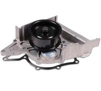 Pompa dell'acqua HEPU P539