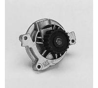 Pompa dell'acqua HEPU P546