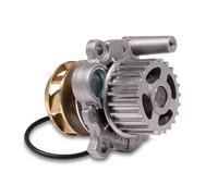 Pompa dell'acqua HEPU P547