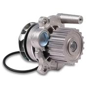 Pompa dell'acqua HEPU P549