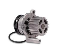 Pompa dell'acqua HEPU P550