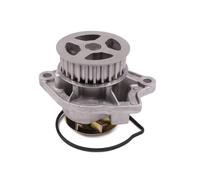 Hepu Pompa dell'acqua P557 meccanica per VW, SKODA, SEAT, AUDI