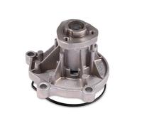 Pompa dell'acqua HEPU P566