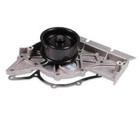 Pompa dell'acqua HEPU P575