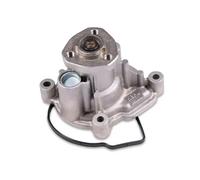 Pompa dell'acqua HEPU P581