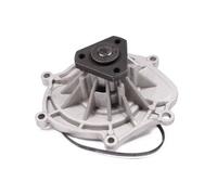 HEPU P691 Pompa acqua