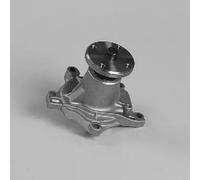 HEPU P7216 Pompa acqua