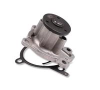 HEPU P7388 Pompa acqua