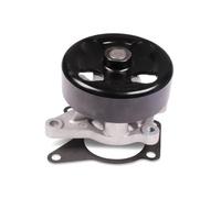 HEPU P7396 Pompa acqua