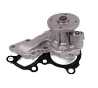 HEPU P7408 Pompa acqua