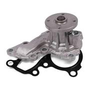 HEPU P7409 Pompa acqua