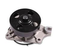 HEPU P7532 Pompa acqua