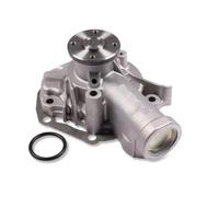 HEPU P7553 Pompa acqua