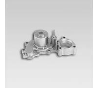 HEPU P7661 Pompa acqua