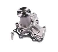 HEPU P7743 Pompa acqua