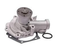 HEPU P7765 Pompa acqua