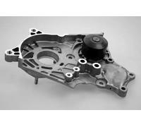 HEPU P7769 Pompa acqua